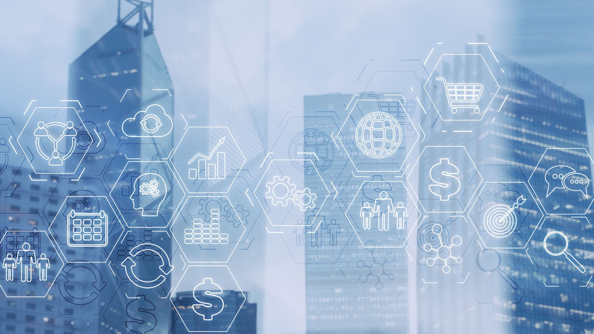 Expertise ERP